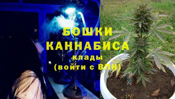 винт Богданович