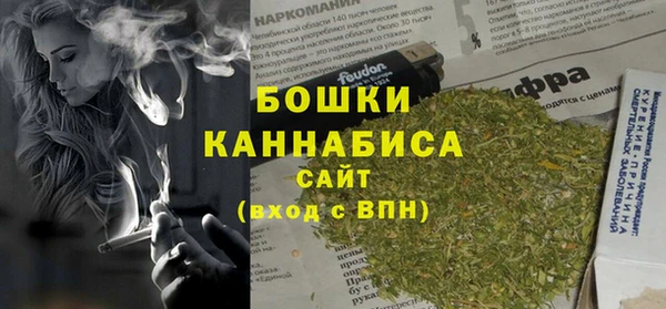 винт Богданович